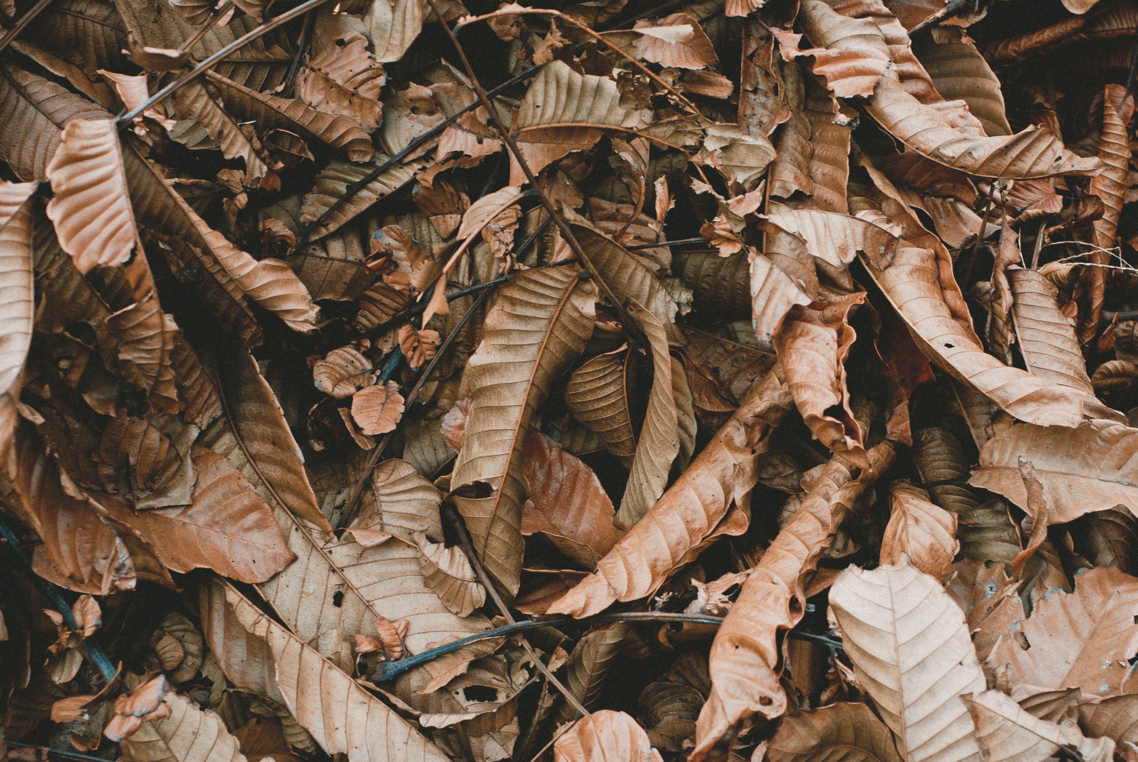 Unsplashed background img 1